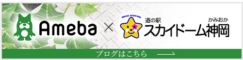 Ameba×道の駅 スカイドーム神岡